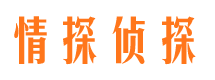 七台河外遇出轨调查取证